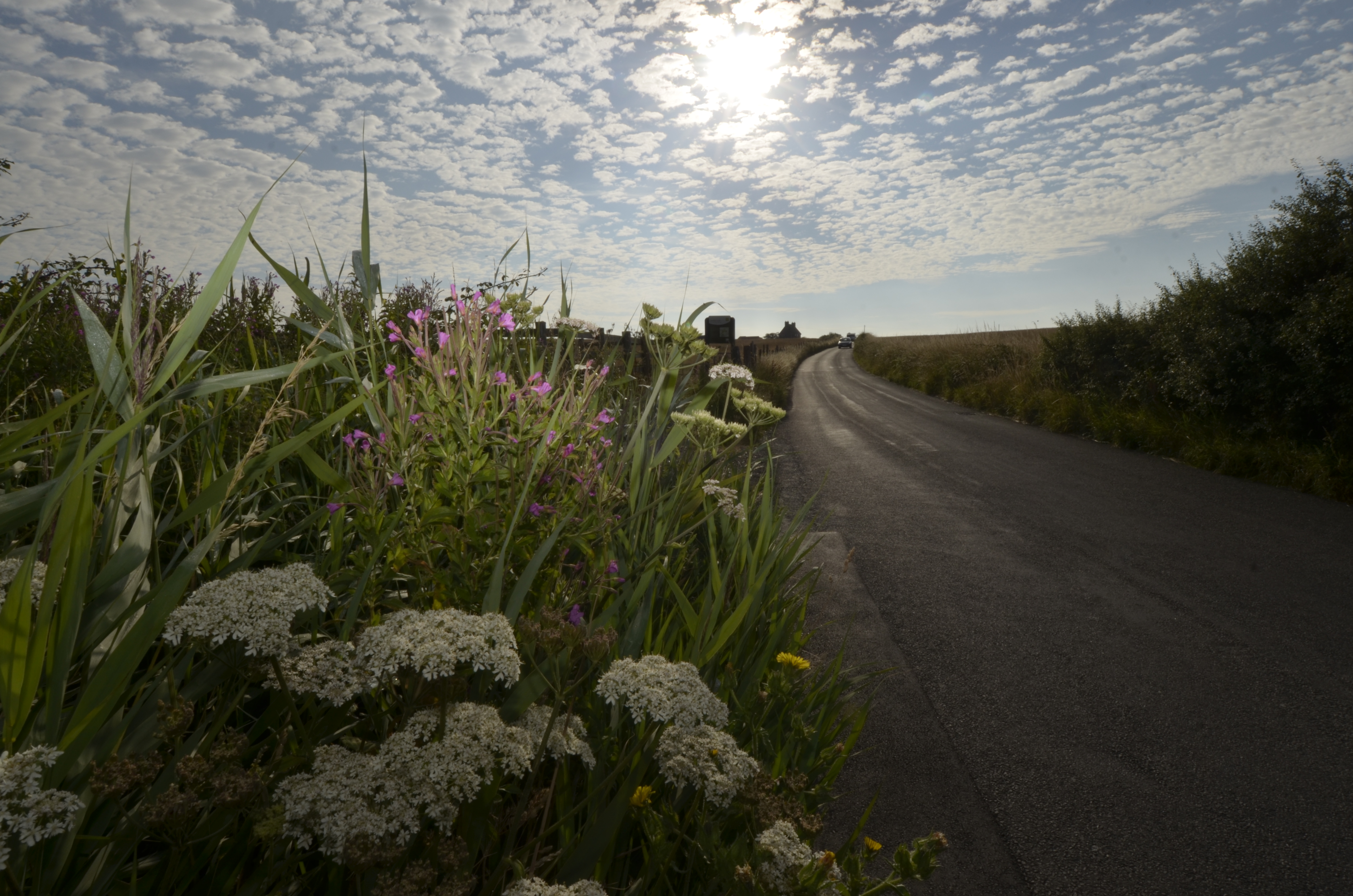 Historic route gets major facelift to boost tourism and business